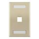 HellermannTyton-FPISINGLE-I-Keystone - Faceplates, Frames