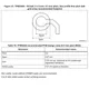STMicroelectronicsSTM32L051C8T7Embedded - Microcontrollers Dimensions_30
