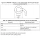 STMicroelectronicsSTM32L496VGY6PTREmbedded - Microcontrollers Dimensions_28
