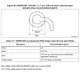 STMicroelectronicsSTM32F429NIH6EEmbedded - Microcontrollers Dimensions_19