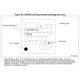 STMicroelectronicsSTM32F446RET6TREmbedded - Microcontrollers Dimensions_28
