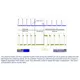 STMicroelectronicsA6986HTRPMIC - Voltage Regulators - DC DC Switching Regulators Dimensions_1