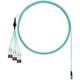 Panduit Corp-FXTRP8NUJSNF066-Fiber Optic Cables