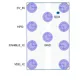 STMicroelectronicsHDMI2C2-5F2TVS - Mixed Technology Pin Diagram_1