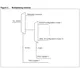 STMicroelectronicsSPEAR300-2Embedded - Microprocessors Pin Diagram_15