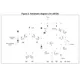 STMicroelectronicsLM324APTLinear - Amplifiers - Instrumentation, OP Amps, Buffer Amps Pin Diagram_1