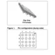 STMicroelectronicsEMIF06-MSD04F3EMI/RFI Filters (LC, RC Networks) Pin Diagram_1