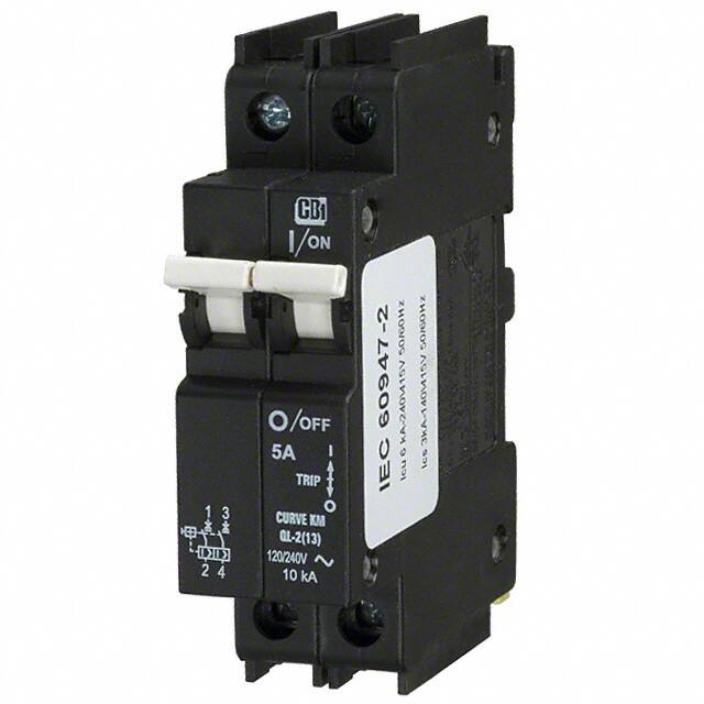 American Electrical Inc.-C5A2P-489