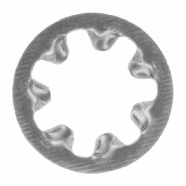 B&F Fastener Supply-INT LWSS 006