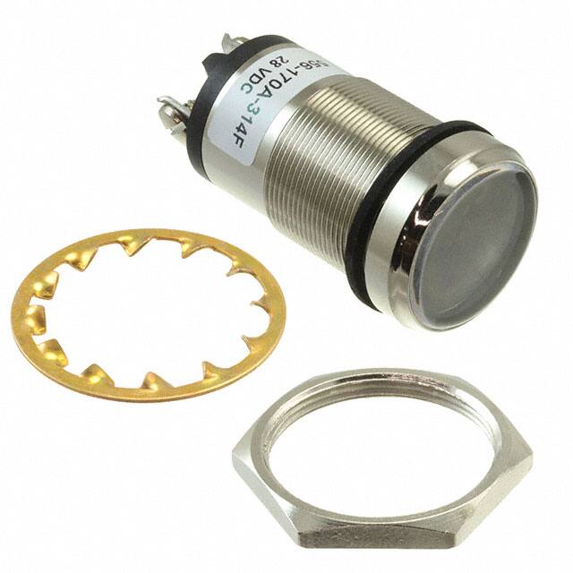 Dialight-556170A314F