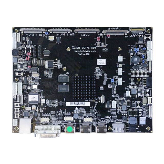Digital View Inc.-4175500XX-3
