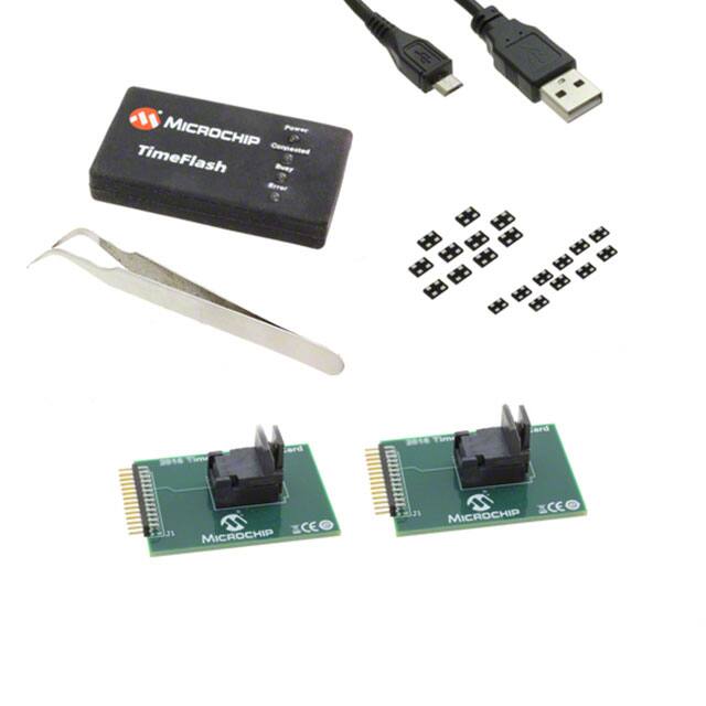 Microchip Technology-DSC-TIMEFLASH2-KIT2