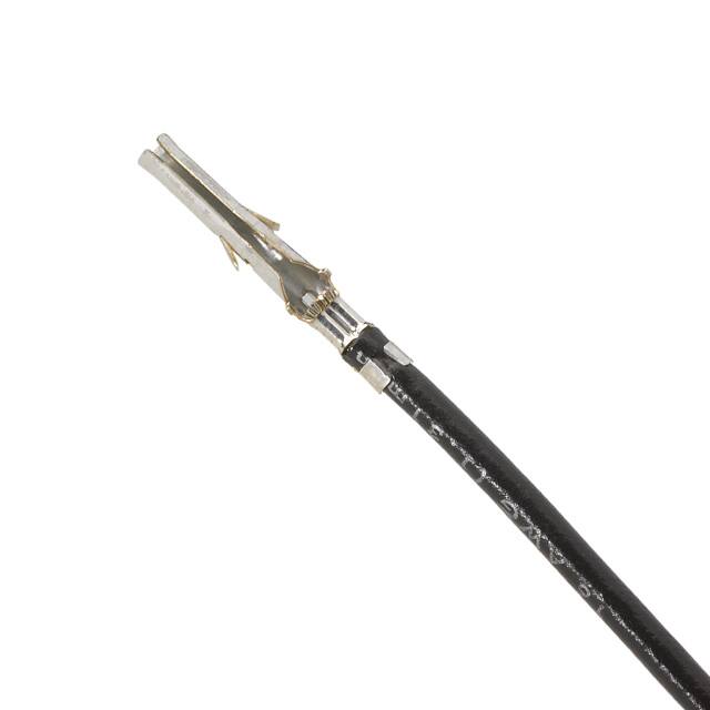 Molex-797582054