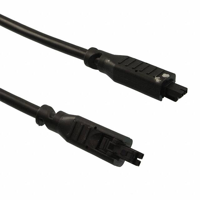 Molex-2451300205