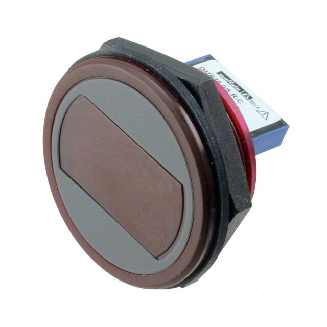Murata Power Solutions Inc.-DMR20-0/5-R-C