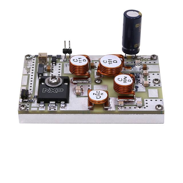 NXP USA Inc.-MRF300AN-50MHZ
