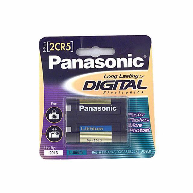 Panasonic - BSG-2CR-5MPA/1B