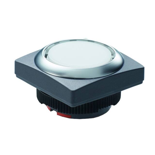 RAFI USA-1.30270.9512203