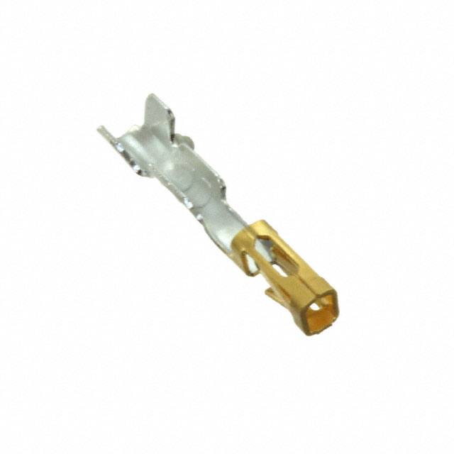Samtec Inc.-CC79L-2024-01-S