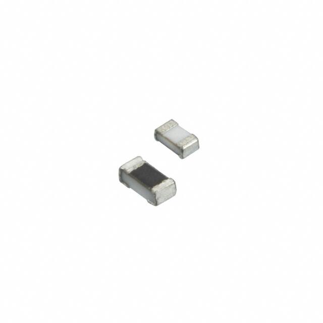Susumu-RG1005P-2671-B-T5