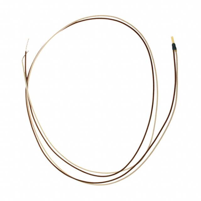 TDK Electronics Inc.-B59100M1070A070