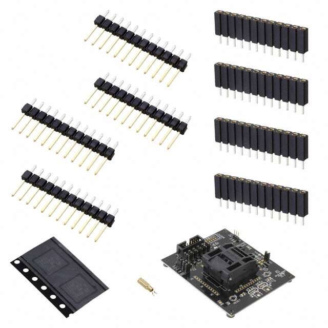 Texas Instruments-MSP-TS430RGZ48C