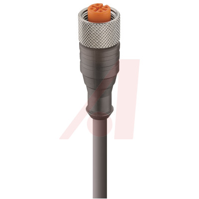 Lumberg Automation-RKT 4-646/2M