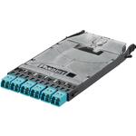 Panduit Corp-FHSZO-12-10P