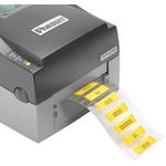 Panduit Corp-H200X025H2T-2