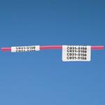 Panduit Corp-N050X150CBC