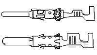 TE Connectivity AMP Connectors-1703013-1
